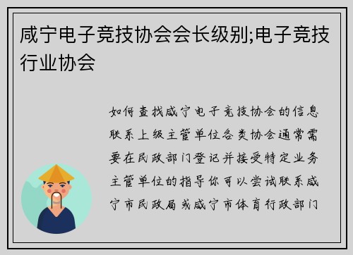 咸宁电子竞技协会会长级别;电子竞技行业协会